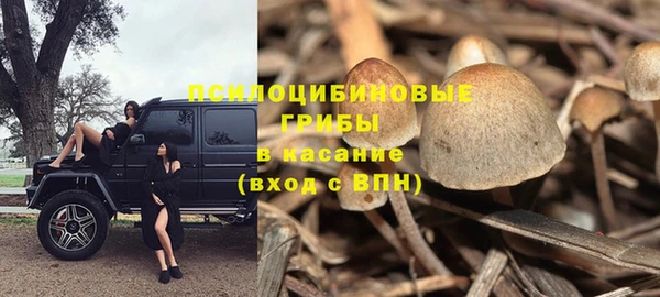 амф Алзамай